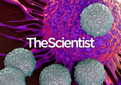 Breaking Down Barriers: Cell Therapy for Solid Tumors